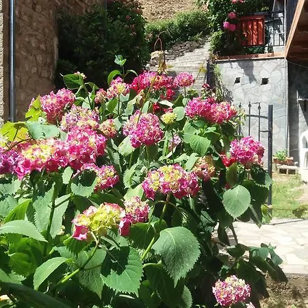 Mprizis Guest house *