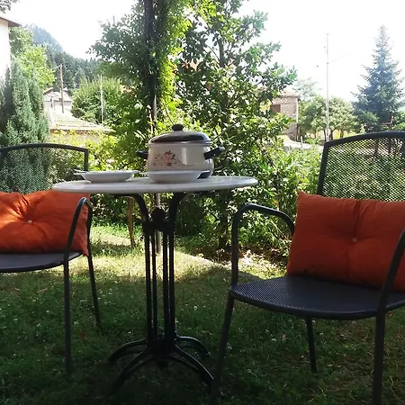Mprizis Guest house Elati (Trikala)
