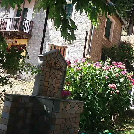 Guest house Mprizis *